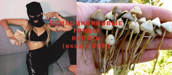 МДМА Горняк