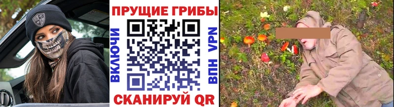 Галлюциногенные грибы GOLDEN TEACHER  Купить где  Зеленокумск 